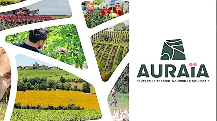 EN FUSION – 9.000 agriculteurs et 1.915 collaborateurs font Auraïa